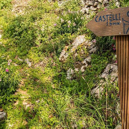 Castelli Olive Press Guest House Acharavi  Bagian luar foto
