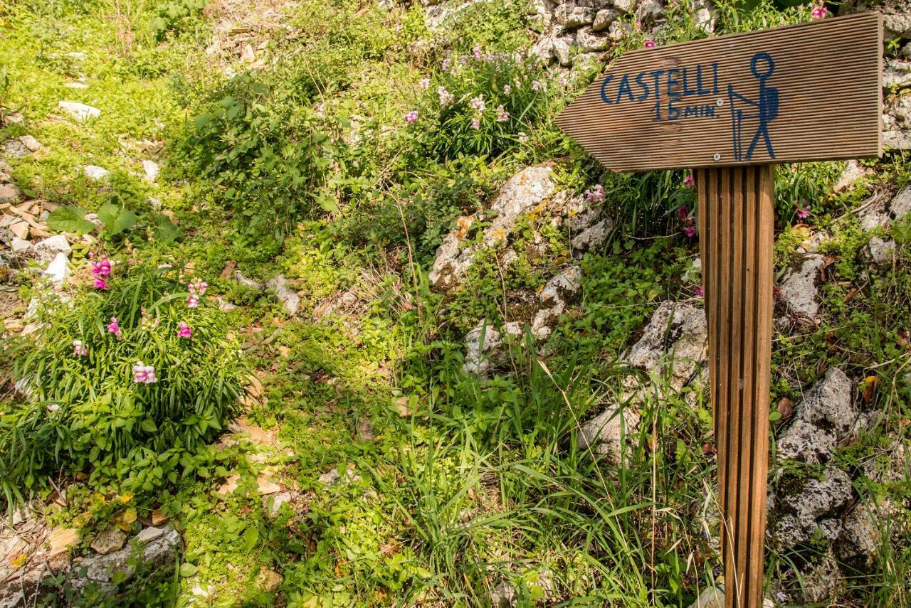 Castelli Olive Press Guest House Acharavi  Bagian luar foto