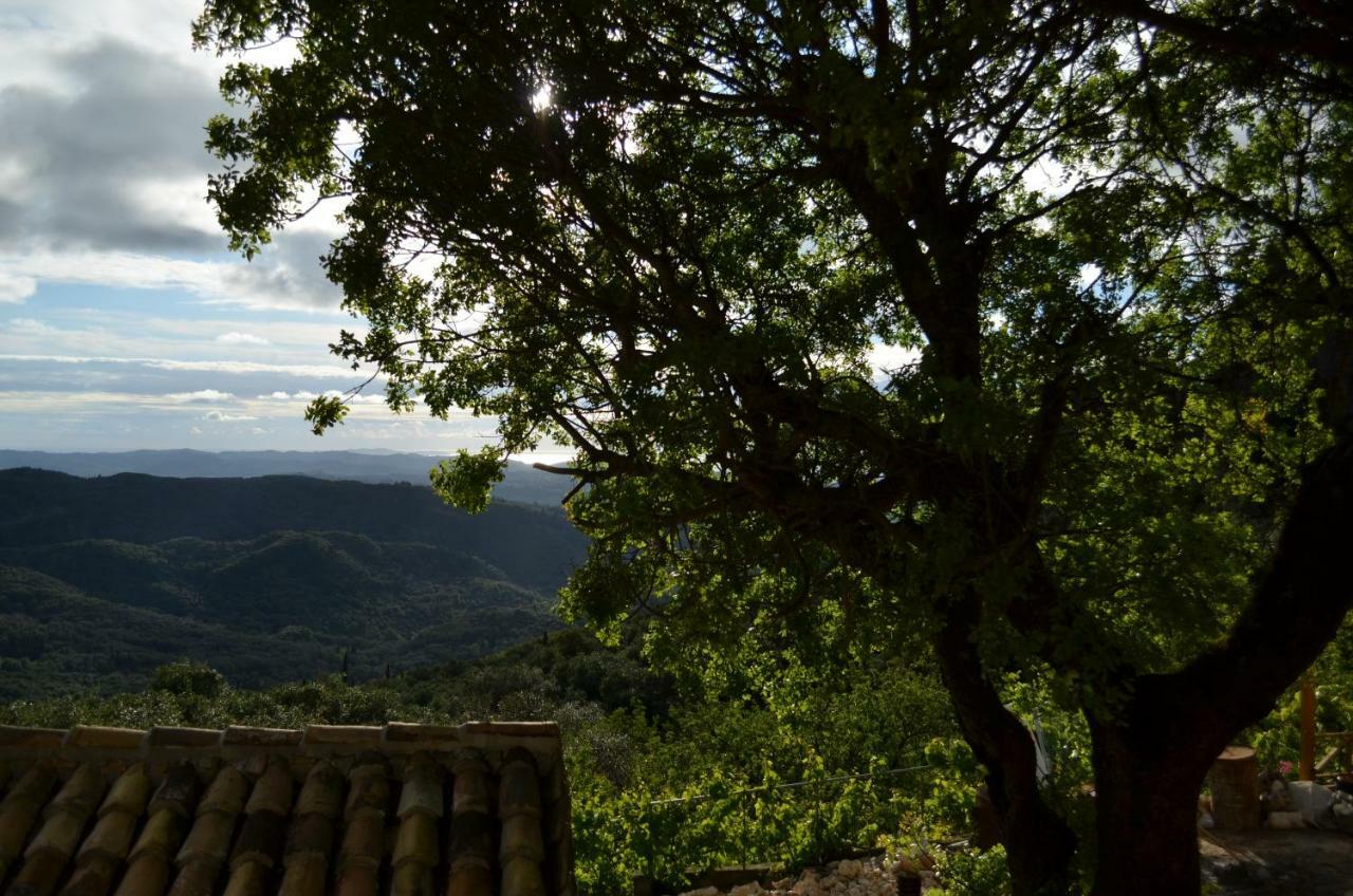 Castelli Olive Press Guest House Acharavi  Bagian luar foto