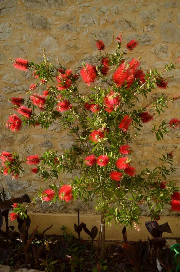 Castelli Olive Press Guest House Acharavi  Bagian luar foto